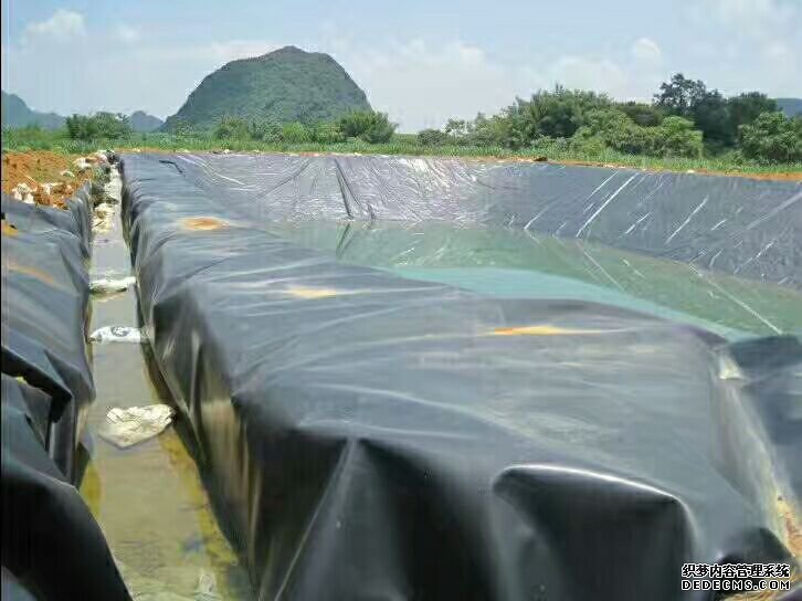 污水養殖.jpg 污水養殖.jpg